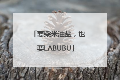 要柴米油盐，也要LABUBU