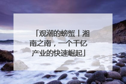 观潮的螃蟹丨湘南之南，一个千亿产业的快速崛起