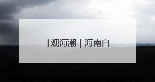 观海潮｜海南自贸港与RCEP区域合作互促共进