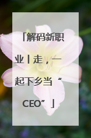 解码新职业丨走，一起下乡当“CEO”