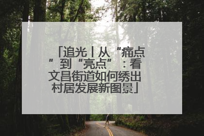 追光丨从“痛点”到“亮点”：看文昌街道如何绣出村居发展新图景