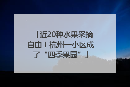 近20种水果采摘自由！杭州一小区成了“四季果园”