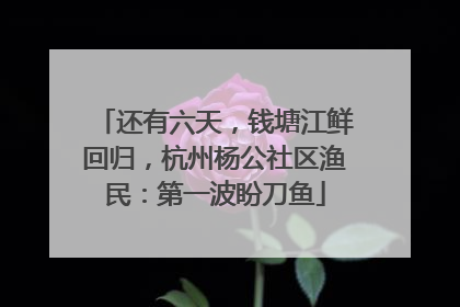 还有六天，钱塘江鲜回归，杭州杨公社区渔民：第一波盼刀鱼