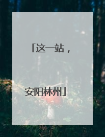 这一站，安阳林州