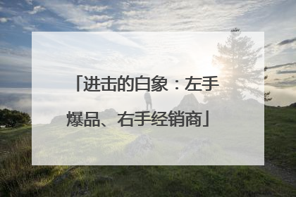 进击的白象：左手爆品、右手经销商