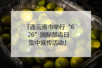 连云港市举行“6·26”国际禁毒日集中宣传活动