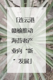 连云港赣榆推动海苔老产业向“新”发展