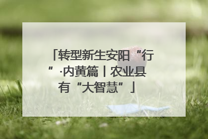 转型新生安阳“行”·内黄篇丨农业县有“大智慧”
