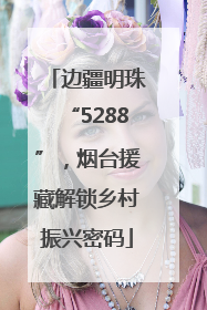 边疆明珠“5288”，烟台援藏解锁乡村振兴密码