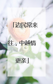 边民常来往，中越情更亲