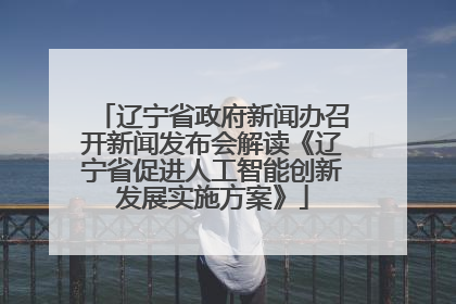 辽宁省政府新闻办召开新闻发布会解读《辽宁省促进人工智能创新发展实施方案》
