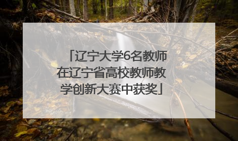 辽宁大学6名教师在辽宁省高校教师教学创新大赛中获奖