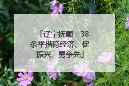 辽宁抚顺：38条举措稳经济、促振兴、勇争先