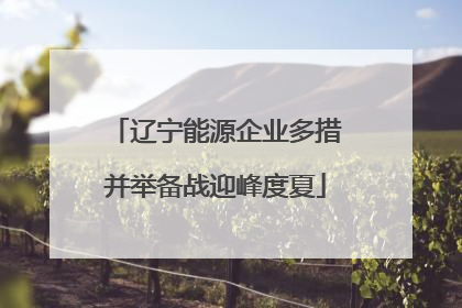 辽宁能源企业多措并举备战迎峰度夏