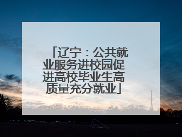 辽宁：公共就业服务进校园促进高校毕业生高质量充分就业