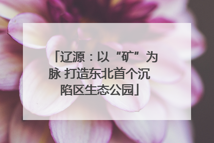 辽源：以“矿”为脉 打造东北首个沉陷区生态公园