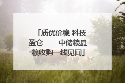 质优价稳 科技盈仓——中储粮夏粮收购一线见闻
