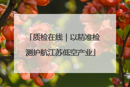 质检在线｜以精准检测护航江苏低空产业