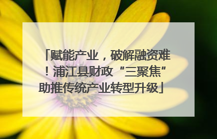 赋能产业，破解融资难！浦江县财政“三聚焦”助推传统产业转型升级