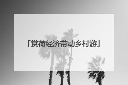 赏荷经济带动乡村游