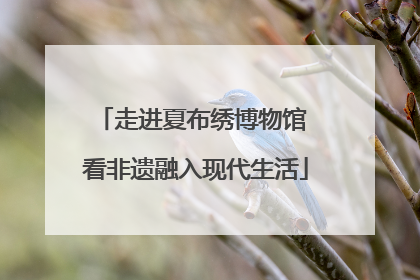 走进夏布绣博物馆 看非遗融入现代生活