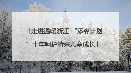 走进温暖浙江 “添翼计划”十年呵护特殊儿童成长