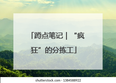 蹲点笔记｜“疯狂”的分拣工