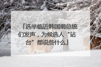选举临近韩国前总统们发声，为候选人“站台”都说些什么