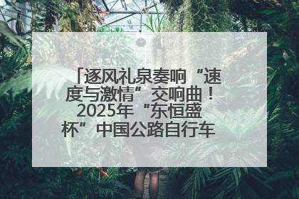 逐风礼泉奏响“速度与激情”交响曲！2025年“东恒盛杯”中国公路自行车联赛第五站（陕西·礼泉站）正式开赛