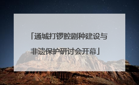 通城打锣腔剧种建设与非遗保护研讨会开幕