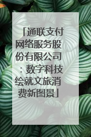 通联支付网络服务股份有限公司：数字科技绘就文旅消费新图景