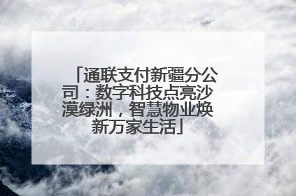 通联支付新疆分公司：数字科技点亮沙漠绿洲，智慧物业焕新万家生活