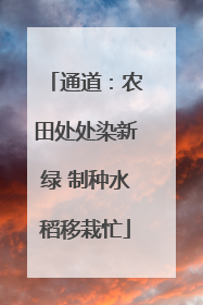 通道：农田处处染新绿 制种水稻移栽忙