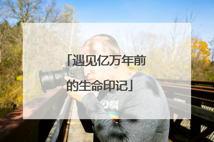 遇见亿万年前的生命印记