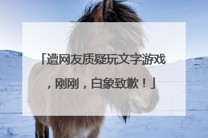 遭网友质疑玩文字游戏，刚刚，白象致歉！