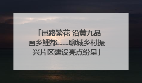 邑路繁花 沿黄九品 画乡鲤都……聊城乡村振兴片区建设亮点纷呈
