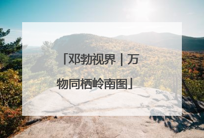 邓勃视界｜万物同栖岭南图