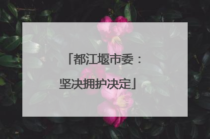 都江堰市委：坚决拥护决定