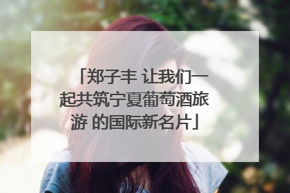 郑子丰 让我们一起共筑宁夏葡萄酒旅游 的国际新名片