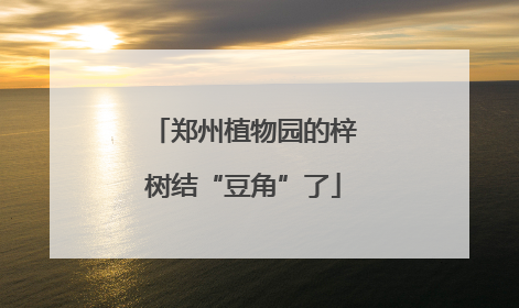 郑州植物园的梓树结“豆角”了