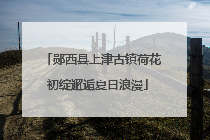 郧西县上津古镇荷花初绽邂逅夏日浪漫