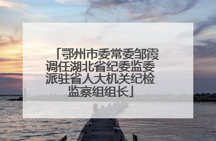 鄂州市委常委邹霞调任湖北省纪委监委派驻省人大机关纪检监察组组长
