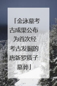 金泳墓考古成果公布 为首次经考古发掘的唐新罗质子墓葬