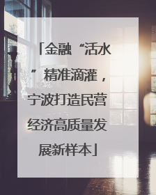 金融“活水”精准滴灌，宁波打造民营经济高质量发展新样本