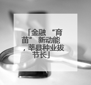 金融 “育苗” 新动能，莘县种业拔节长