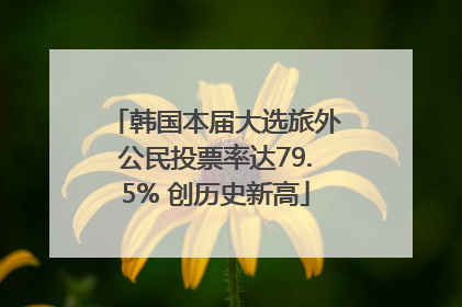 韩国本届大选旅外公民投票率达79.5% 创历史新高