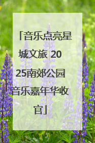 音乐点亮星城文旅 2025南郊公园音乐嘉年华收官