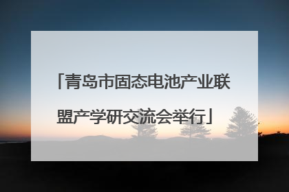 青岛市固态电池产业联盟产学研交流会举行