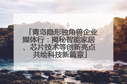 青岛隐形独角兽企业媒体行：揭秘智能家居、芯片技术等创新亮点 共绘科技新篇章