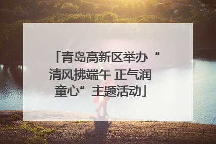 青岛高新区举办“清风拂端午 正气润童心”主题活动